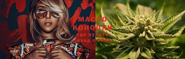 дмт Аркадак