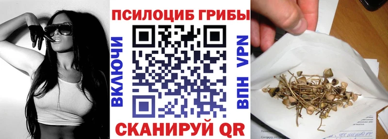 Купить закладки  Камызяк  Галлюциногенные грибы Psilocybe 